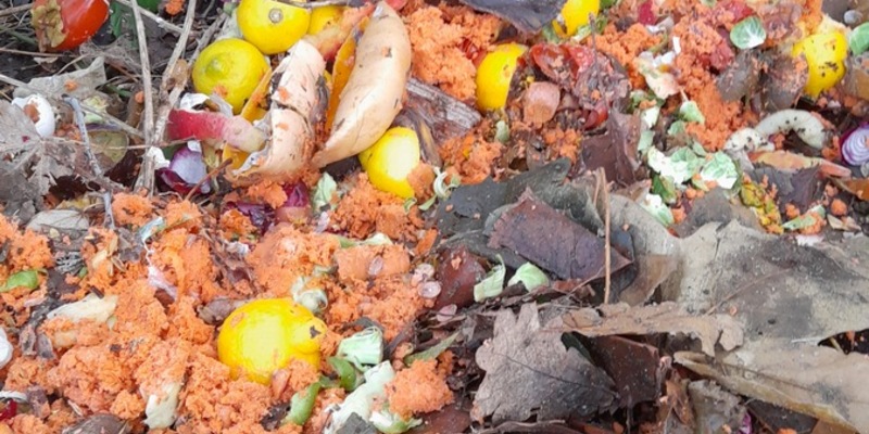 POL-FL: Friedrichstadt: Illegale Entsorgung von Küchenabfällen am Treenedeich - Foto: presseportal.de