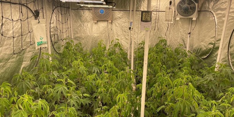 POL-UL: (GP) Aichelberg - Gemeinsame Pressemitteilung von Staatsanwaltschaft Ulm und Polizei - Foto: presseportal.de