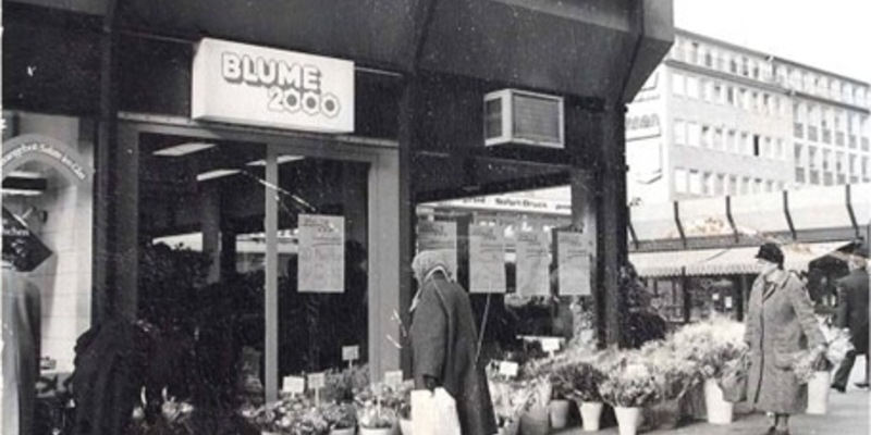 Hipp hipp hurray: BLUME2000 feiert am 08.03.2024 50-jähriges Jubiläum / Seit 1974 mehr Grün ins Leben der Menschen - Foto: presseportal.de