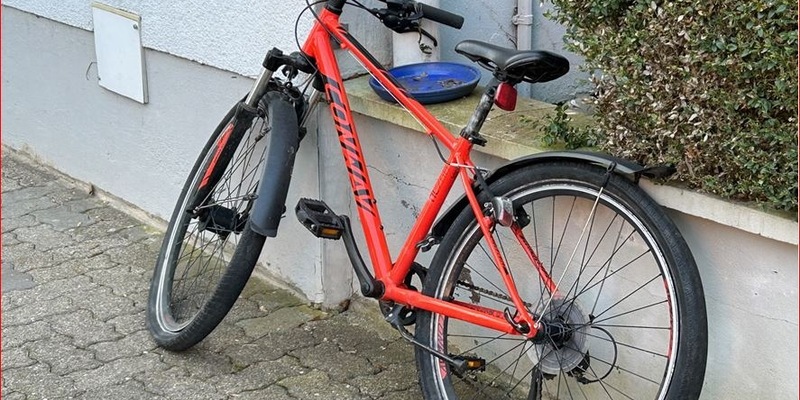 POL-PDLD: Eigentümer zu rotem MTB gesucht - Foto: presseportal.de