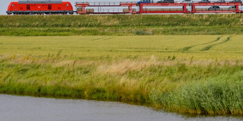 Der Sylt-Shuttle in der Nähe von Klanxbüll auf dem Weg zur Nordseeinsel. - Foto: Axel Heimken/dpa