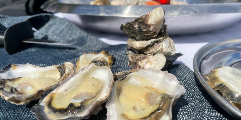 Fertig zum Verzehr - frische Sydney Rock Oysters. - Foto: Michelle Ostwald/dpa