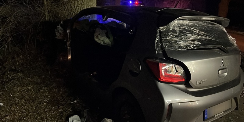 FW Lüchow-Dannenberg: PKW kollidiert mit landwirtschaftlichem Gespann +++ prallt gegen den Baum +++ Drei Insassen z.T. schwer verletzt - Foto: presseportal.de