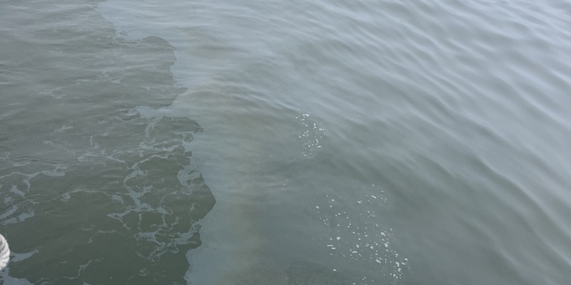 LWSPA M-V: Größere Gewässerverunreinigung vor Fischland-Darß festgestellt-Wasserschutzpolizei ermittelt - Foto: presseportal.de