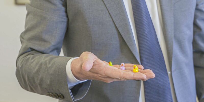 Kleine Entenfiguren werden im Ulmer Rathaus versteckt. - Foto: Jason Tschepljakow/dpa