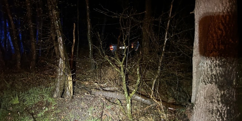 POL-PDLD: Kandel - Alleinunfall unter Alkoholeinfluss - Foto: presseportal.de