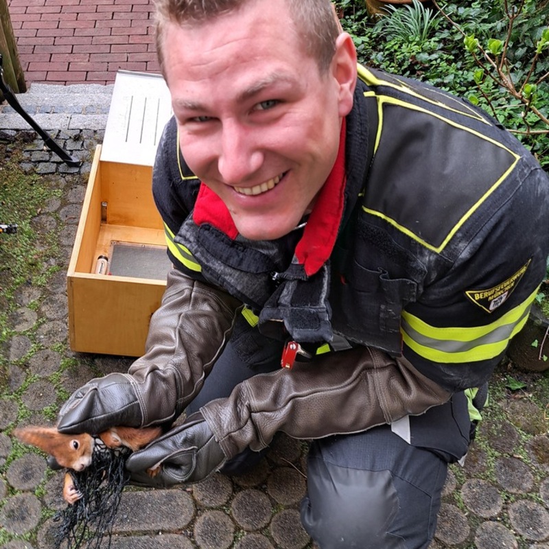 FW-M: Eichhörnchen in Not (Haidhausen) - Foto: presseportal.de