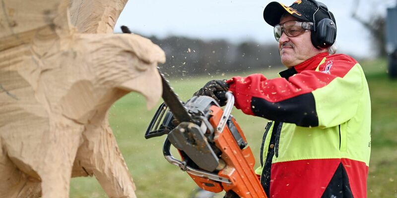 Der Kettensägen-Holzschnittkünstler Dieter Binder arbeitet an einer Skulptur in Form eines Adlers. - Foto: Uli Deck/dpa