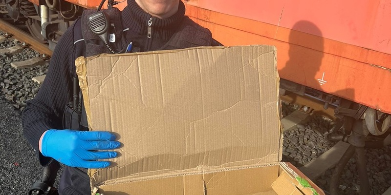 BPOL-KS: Bundespolizei holt verletzte Katze von den Gleisen - Foto: presseportal.de