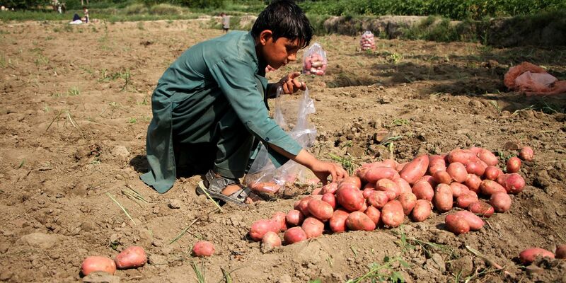 Ziel des EU-Lieferkettengesetzes ist es, Menschenrechte weltweit zu stärken. - Foto: Saifurahman Safi/Xinhua/dpa