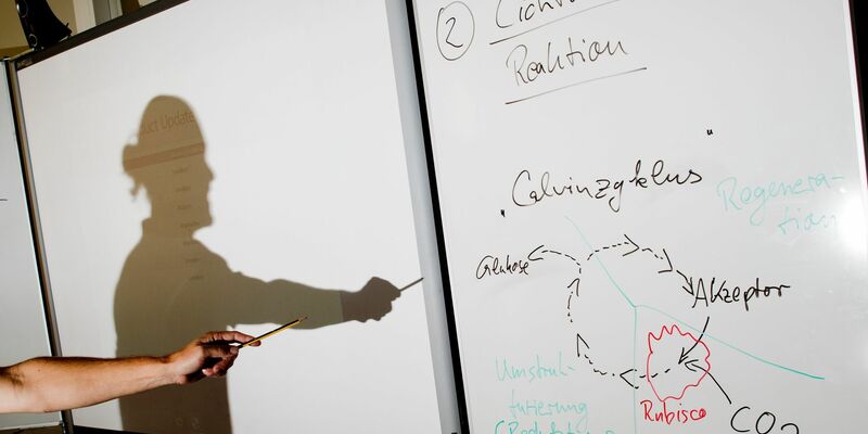Ein Lehrer wirft einen Schatten auf ein Smartboard in einem Biologie-Leistungskurs.
Die Bundesländer erwarten einen Zuschuss von 6,5 Milliarden Euro für eine Fortsetzung des Digitalpakt Schule 2.0. - Foto: Julian Stratenschulte/dpa