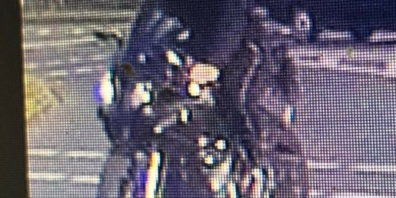 POL-SZ: Pressemitteilung der Polizeiinspektion SZ/PE/WF vom 18.03.2024. FOTO IM ANHANG - Foto: presseportal.de