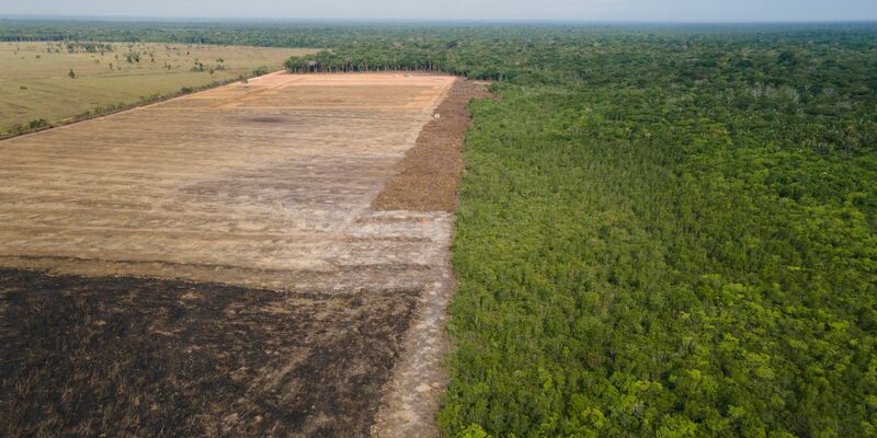 Das Luftbild zeigt eine verbrannte und abgeholzte Fläche im brasilianischen Amazonas-Gebiet. - Foto: Fernando Souza/Zuma Press/dpa