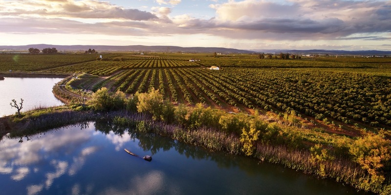 Für nachhaltigere Lieferketten: EDEKA baut Engagement zum Schutz von Süßwasser aus - Foto: presseportal.de