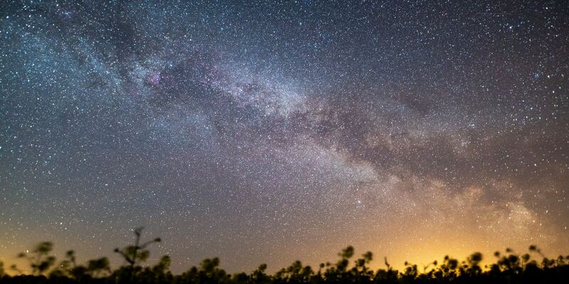 Der Sternenhimmel leuchtet über einem Rapsfeld. Laut Nasa könnte sich in den kommenden Monaten ein Himmelsspektakel ereignen - eine sogenannte Nova-Explosion. - Foto: Daniel Reinhardt/dpa