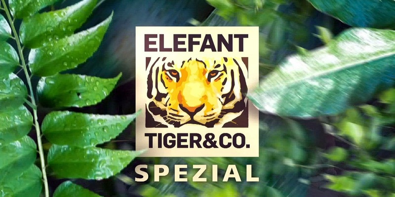MDR zeigt Zoo Leipzig-Spezial zur Primetime: „Elefant, Tiger & Co“ im Einsatz für bedrohte Arten - Foto: presseportal.de