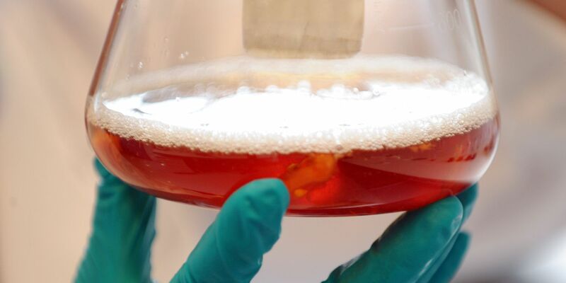 Das Bundeskabinett in Berlin berät heute über Änderungen des Wissenschaftszeitvertragsgesetzes. - Foto: picture alliance / dpa