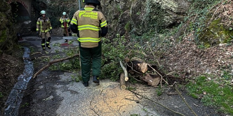 FW-EN: Zweimal am gleichen Einsatzort: Müllcontainerbrand und Brandmeldealarm - Foto: presseportal.de