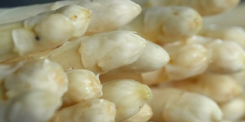 Auch für die Spargelernte kommen viele Saisonarbeiter aus Osteuropa nach Deutschland. - Foto: Soeren Stache/dpa