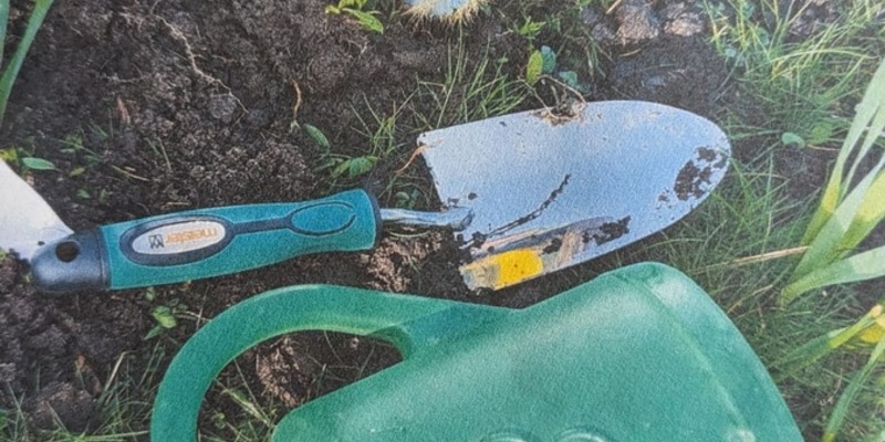 POL-CLP: Einzelmeldung für den Nordkreis des Landkreises Cloppenburg +++ Friesoythe - Frühling, Sonne, Kaktus (oder: gut gedacht, aber schlecht gemacht) +++ - Foto: presseportal.de