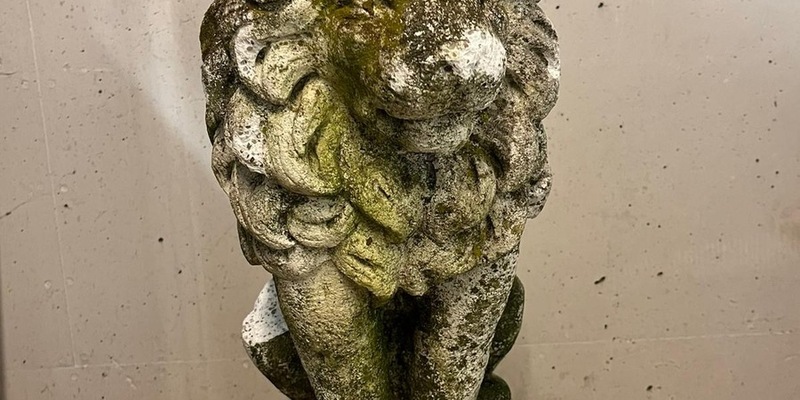 POL-MA: Heidelberg: Einsamer Steinlöwe - Zeuge bzw. Besitzer gesucht! - Foto: presseportal.de