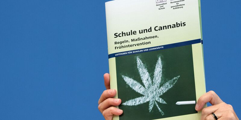 «Die Teillegalisierung vermittelt ein falsches Signal der Harmlosigkeit des Cannabis-Konsums», sagt Stefan Düll. - Foto: Ralf Hirschberger/dpa