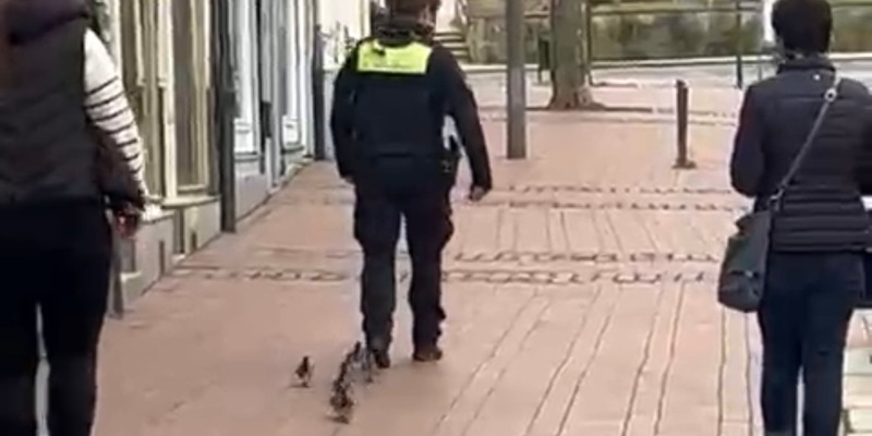 POL-GS: Pressemitteilung der PI Goslar Samstag 30.03.24 - 12:00 Uhr - Sonntag 31.03.24 - 12:00 Uhr - Foto: presseportal.de