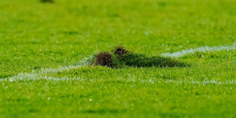 Der Rasen Saarbrücker Ludwigspark scheint zu halten. - Foto: Uwe Anspach/dpa