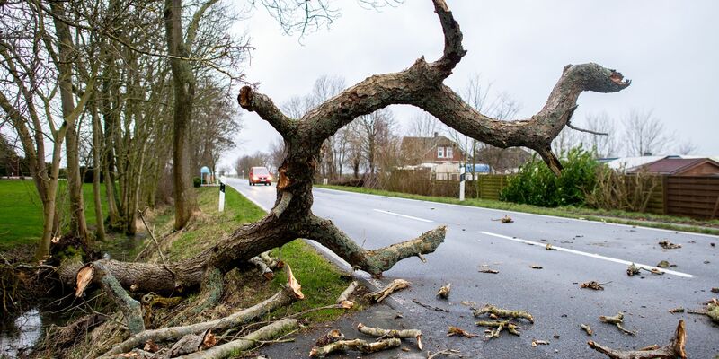 In Südpolen musste die Feuerwehr bei mehr als 140 Einsätzen ausrücken. Zahlreiche Straßen waren durch umgestürzte Bäume blockiert (Symbolbild). - Foto: Hauke-Christian Dittrich/dpa