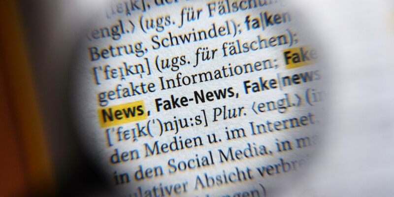 Der Internationale Faktencheck-Tag legt das Augenmerk auf die Reichweite und den Einfluss von Falsch-Informationen im Netz. - Foto: Jens Kalaene/dpa