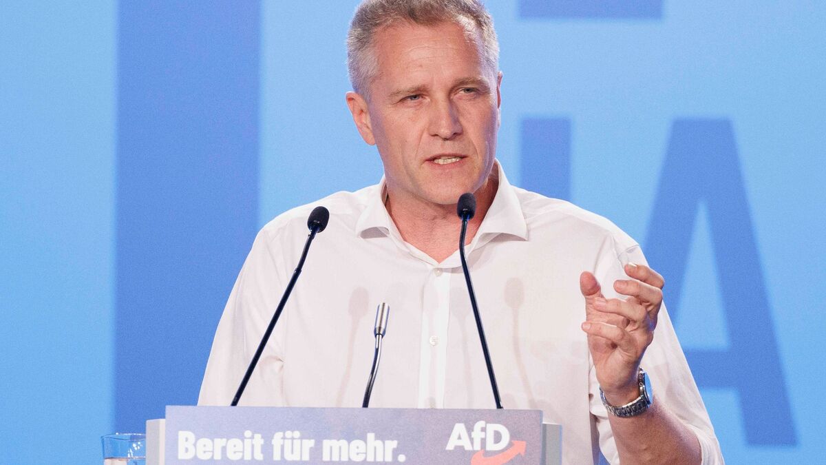 Der Bundestagsabgeordnete und AfD-Politiker Petr Bystron steht im Verdacht Geld über ein russische Propagandanetzwerk erhalten zu haben. - Foto: Carsten Koall/dpa