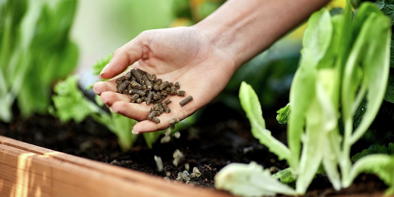 Frühjahrsdüngung: So sorgen Gartenfans für blühendes Leben - Foto: presseportal.de