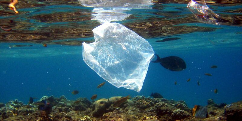 Plastikmüll ist ein großes Problem in den Meeren. - Foto: Mike_Nelson/epa/dpa