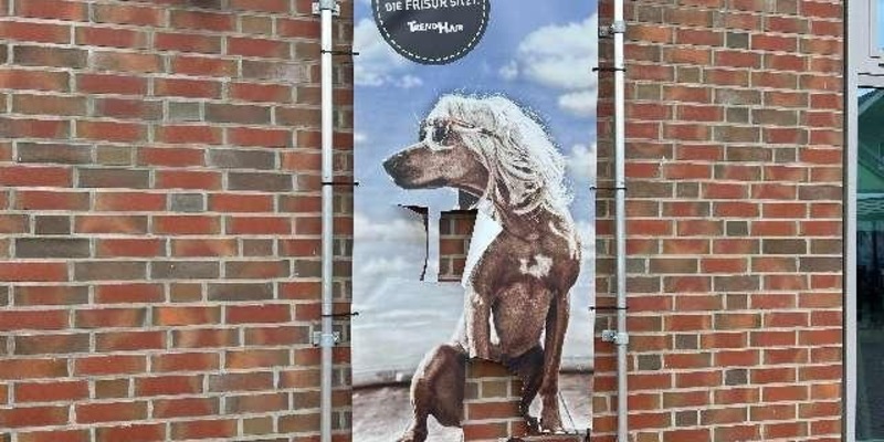 POL-LER: Nachtrag zur Pressemitteilung der Polizeiinspektion Leer/Emden für den 05.04.2024 - Foto: presseportal.de