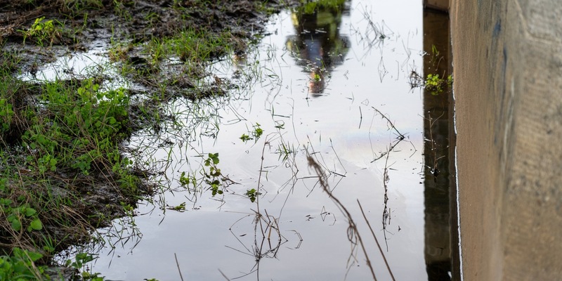 FW Flotwedel: Ortsfeuerwehren Oppershausen und Wienhausen rücken zu Umweltschutzeinsatz aus - Foto: presseportal.de