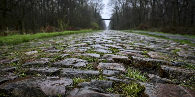 Der Rad-Klassiker Paris-Roubaix findet am Sonntag statt. Vor dem Arenberg-Wald soll nun eine Schikane das Fahrerfeld abbremsen. - Foto: Dirk Waem/Belga/dpa