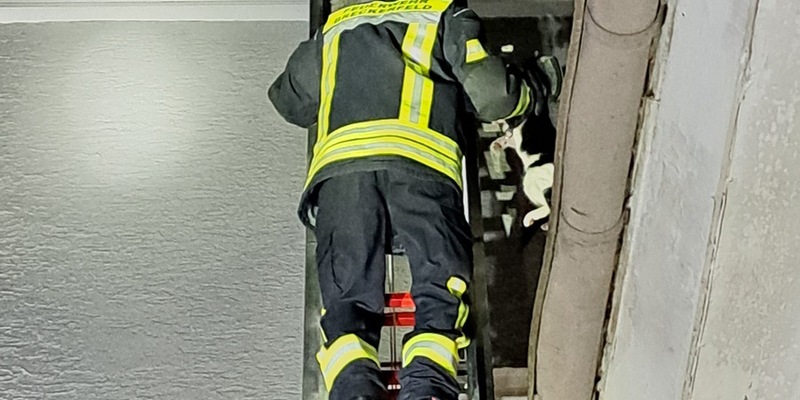 FW-EN: Tierrettung - Feuerwehr befreit Katze vom Dach - Foto: presseportal.de