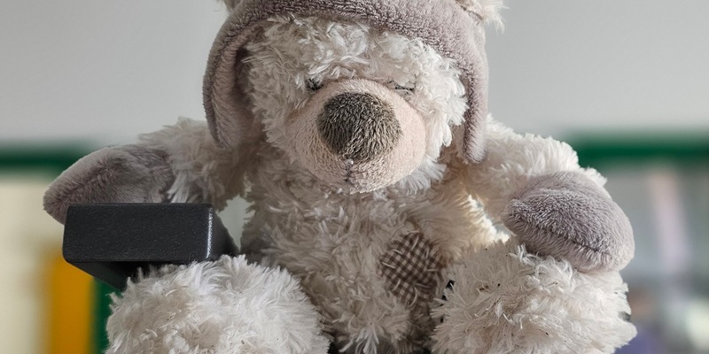 LPI-NDH: Teddy wartet sehnsüchtig seit über einem Jahr auf seinem Besitzer - Foto: presseportal.de