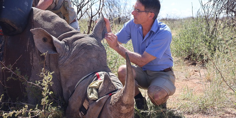 Das geheime Wissen der Tiere - Foto: presseportal.de