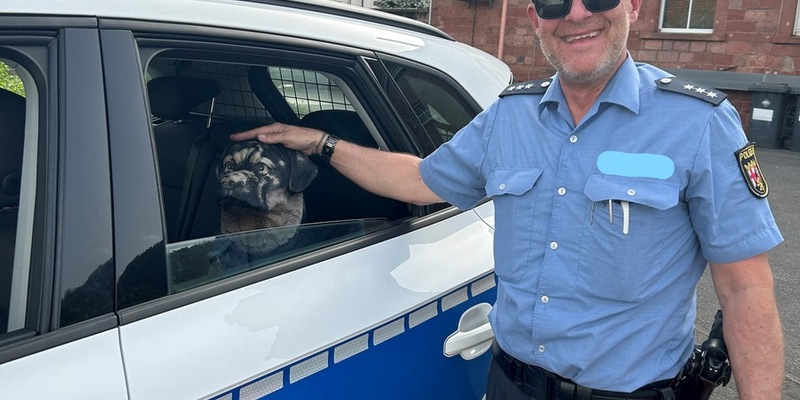 POL-PDLD: Toter Hund auf dem Parkplatz der B10 am Barbarossatunnel... - Foto: presseportal.de