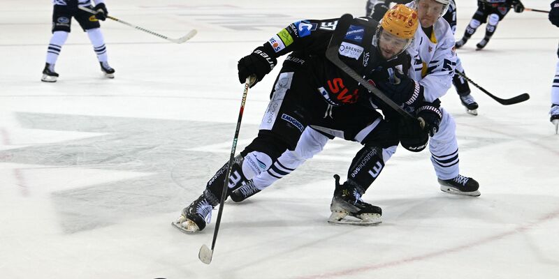 Die Fischtown Pinguins stehen im DEL-Finale. - Foto: Carmen Jaspersen/dpa