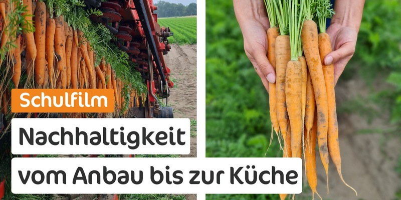 Schulfilm: Möhren, Superfood für eine nachhaltige Zukunft - Foto: presseportal.de