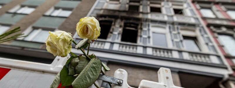 Eine weiße Rose an einer Absperrbake vor dem Brandort in Solingen am 27. März. - Foto: Christoph Reichwein/dpa
