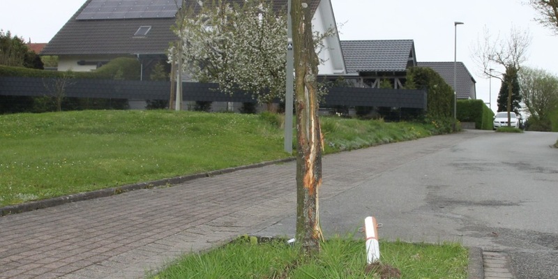 POL-HX: Erst Baum und Poller beschädigt und dann geflüchtet - Polizei sucht Zeugen - Foto: presseportal.de