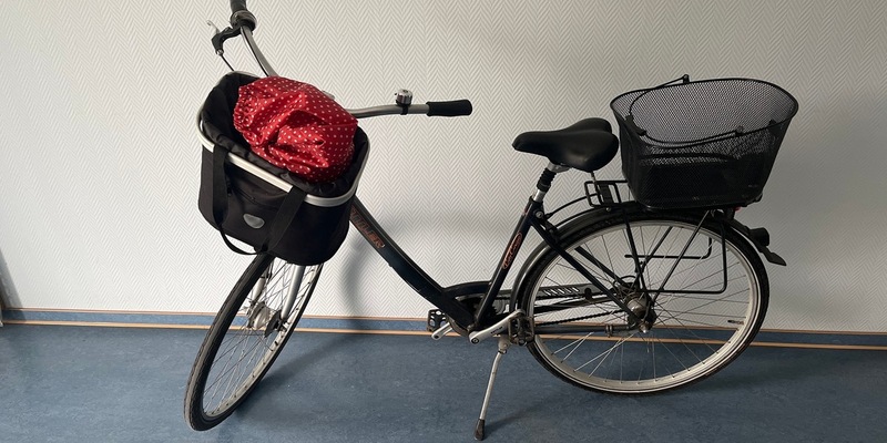 POL-NB: Damenrad sucht Besitzerin - Foto: presseportal.de