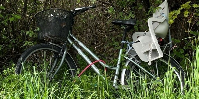 POL-PDLD: Fahrrad aufgefunden - Foto: presseportal.de