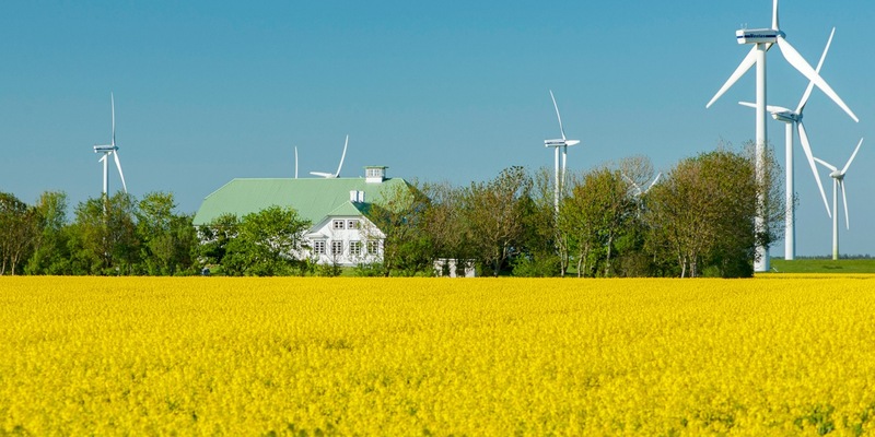 Rapsblüte 2024 / Rapsanbau schafft Versorgungssicherheit - Foto: presseportal.de