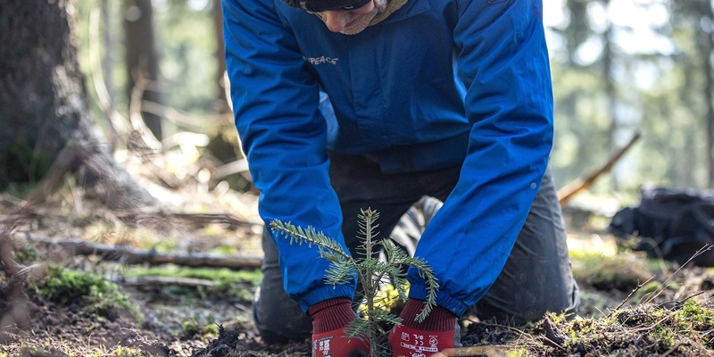 Bergwaldprojekt e.V. als herausragendes UN-Dekade-Projekt ausgezeichnet - Foto: presseportal.de