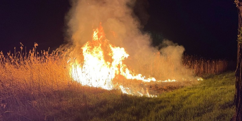 FW Reichenau: Schilfbrand schnell gelöscht, Reichenau L221, 14.04.2024 - Foto: presseportal.de