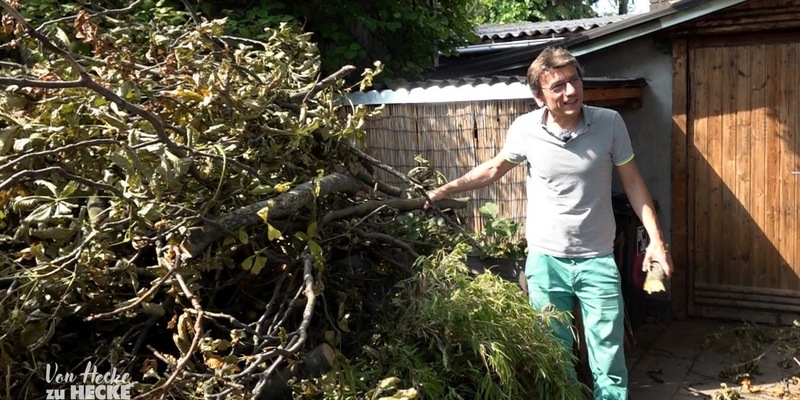 Diese Woche bei Von Hecke zu Hecke - Bunte Beetgeschichten: Sturmtief sorgt für Verwüstung in der Kleingartenanlage Berlin-Bornholm - Foto: presseportal.de